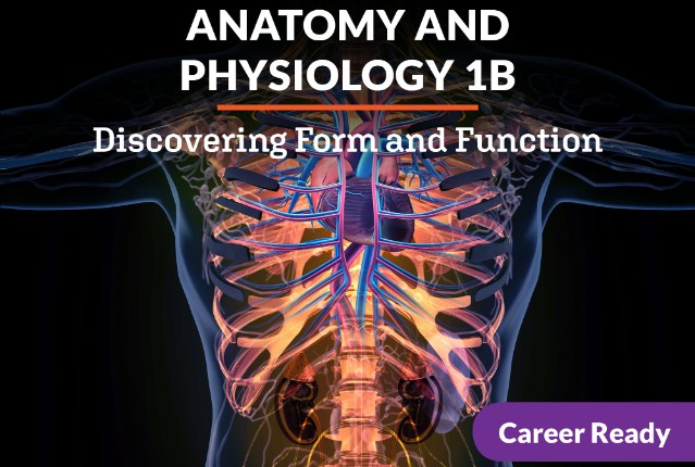 Anatomy and Physiology 1b: Discovering Form and Function