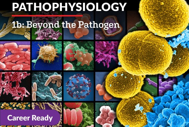 Pathophysiology 1b: Beyond the Pathogen