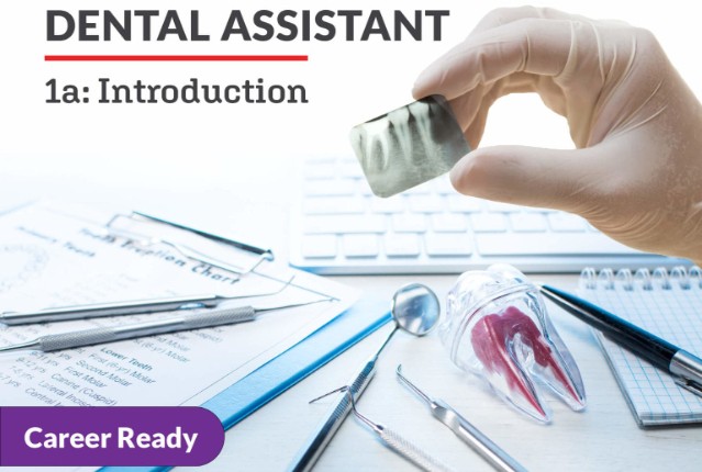 Dental Assistant 1a: Introduction