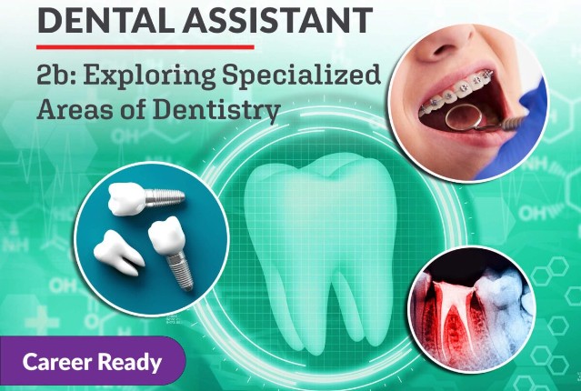 Dental Assistant 2b: Exploring Specialized Areas of Dentistry