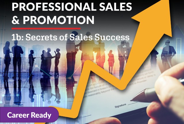 Professional Sales and Promotion 1b: Secrets of Sales Success
