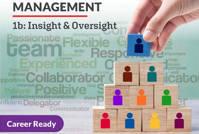 Management 1b: Insight & Oversight