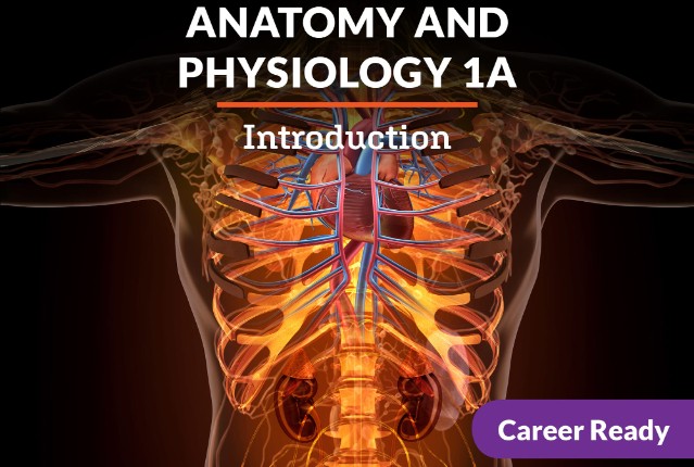 Anatomy and Physiology 1a: Introduction