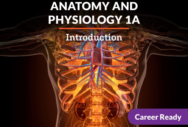 Anatomy and Physiology 1a: Introduction
