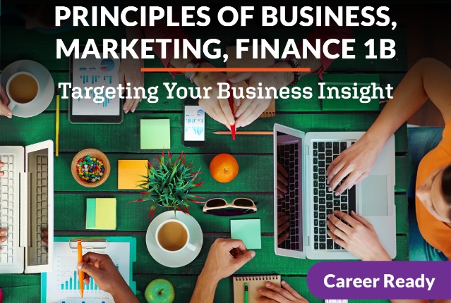 Principles of Business, Marketing, and Finance 1b: Targeting Your Business Insight