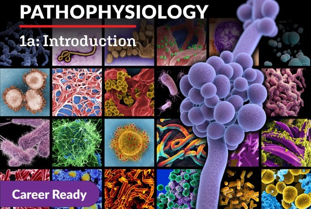  Pathophysiology 1a: Introduction