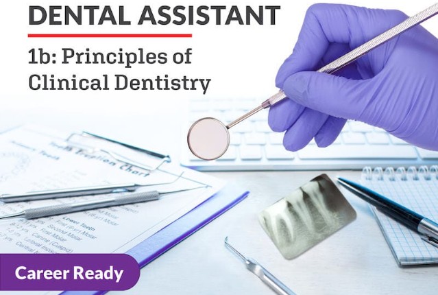 Dental Assistant 1b: Principles of Clinical Dentistry